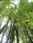 DSCF0060