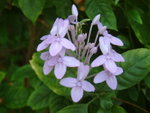 DSCF0077