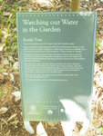 <font color="gold">#07 </font><BR>Adelaide Botanic Garden:<BR>Bottle tree