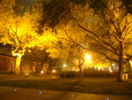 <font color="gold">#29</font><br>�߶��������s����