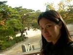 Day 1@ Gyeongju<BR>Autumn foliage & Cherry