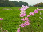 Day 1@ Gyeongju
