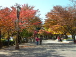 Day 2@ Daegu<br>Palgongsan Provincial Park/ 8? �s