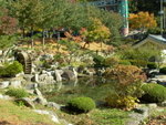 Day 2@ Daegu<BR>October garden