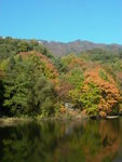 Day 2@ Daegu<br>Donghwasa Temple/ ?? �x
