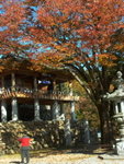 Day 2@ Daegu<BR>Fall afire