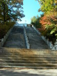 Day 2@ Daegu<BR>Fall on the 90 steps