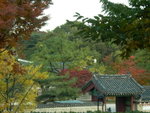 Day 3@ Seoul<BR>Outside ChangDeokGong/ ���w�c