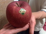 22/12 - Osaka: Extra big apple (190�~)