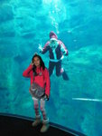 23/12 - Osaka: Children & xmas diver