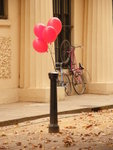 Who hang the balloons?