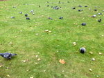 chaos of peace......