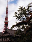 Tokyo Tower & Zojyo-ji Temple�x<br>�F���K��P�W�W�x