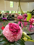 Keukenhof
