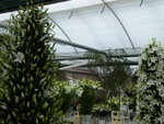 Keukenhof