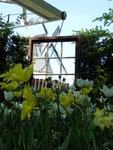 Keukenhof