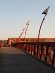Pythonbrug