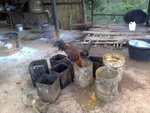 Day 2 07/12/2009<BR>
Roosters at the school