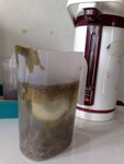 Day 4 09/12/2009<BR>Super yummy lemon tea!