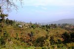 Day 2 07/12/2009<BR>
Wonderful tea plantation with aroma on the way to refugee camp!