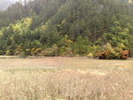 D3@ Jiuzhaigou NP