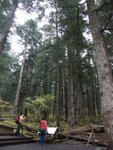 D3@ Jiuzhaigou NP