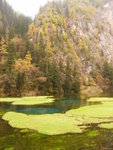 D3@ Jiuzhaigou NP