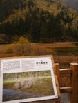 D3@ Jiuzhaigou NP