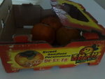 CP2: tropical fruit