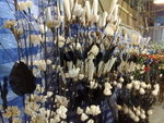 CP4: weekend market