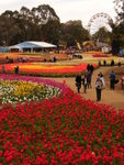 Floriade