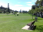 lovely meadow
