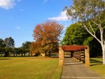 Autumn foliage again