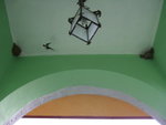 <font color=TAN>>>Tirana</font><BR>Bird nests on our head�x<br>Hostel ���P��