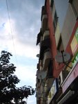 <font color=TAN>>>Tirana</font><BR>Sunflowers�x<br>���гB�B 