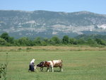 <font color=TAN>>>Shkodra</font>