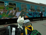 deli pu 2