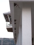 <font color=TAN>>>Bar</font><BR>Bird nests in the train station�x<br>�P�۳B�B