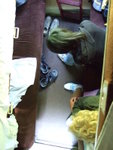 <BR>View from the highest bed