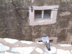 �Ⱖ���F�x<BR>2 silly pigon