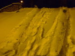 #26<BR>From Fujifilm Camera