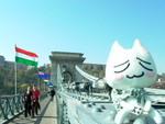 Chain bridge (Lanchid) 5