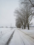 #24 Šiauliai<BR>On the way to Hill of Crosses are lined with lime tree
