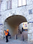 #19<BR>Swedish Gate