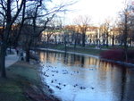 #20<BR>The city Canal