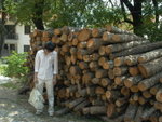 <font color=tan>>>Ohrid</font><BR>Woody People�x<br>�H�p�L��