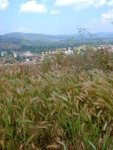 <font color=tan>>>Ohrid</font><BR>