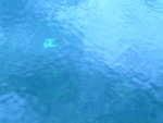 <font color="tan">>>Kotor</font><BR>chair in small river