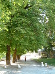 <font color="tan">>>Cetinje</font><BR>good Sunday�x<br>���R�P����