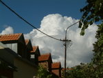 <font color="tan">>>Cetinje</font><BR>Sunday street�x�P�����^�K���p����